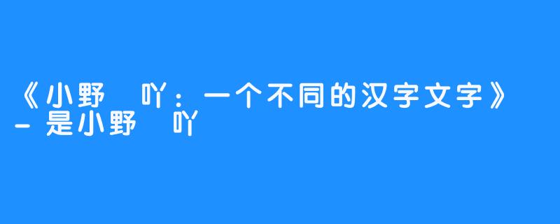《小野吢吖：一个不同的汉字文字》 -是小野吢吖