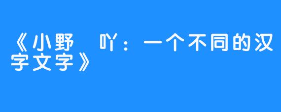 《小野吢吖：一个不同的汉字文字》 