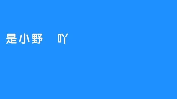 《小野吢吖：一个不同的汉字文字》