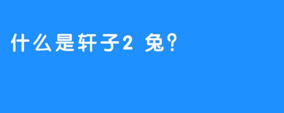 什么是轩子2兔？