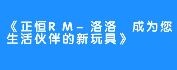 《正恒RM-洛洛 成为您生活伙伴的新玩具》