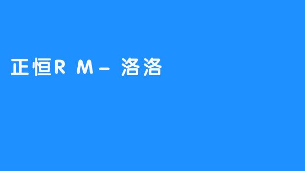 《正恒RM-洛洛 成为您生活伙伴的新玩具》