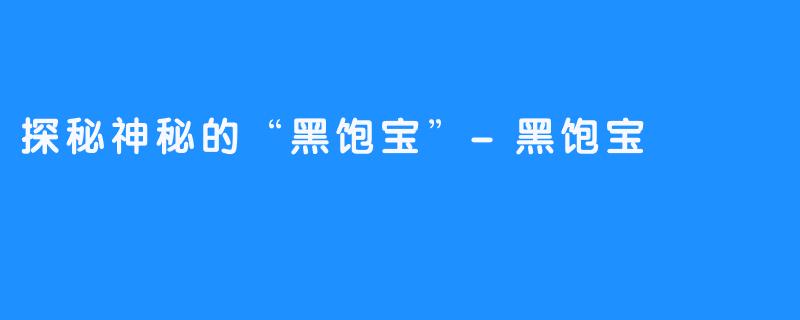 探秘神秘的“黑饱宝”-黑饱宝