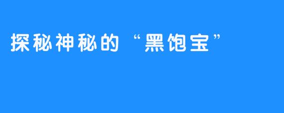 探秘神秘的“黑饱宝”