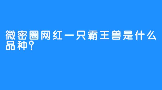 微密圈网红一只霸王兽是什么品种？