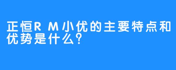 正恒RM小优的主要特点和优势是什么？
