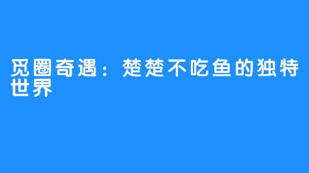 觅圈奇遇：楚楚不吃鱼的独特世界