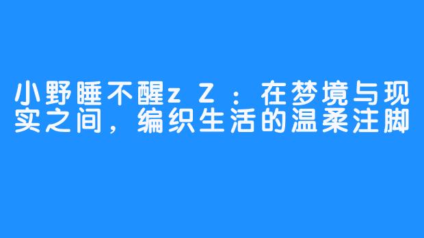 小野睡不醒zZ：在梦境与现实之间，编织生活的温柔注脚