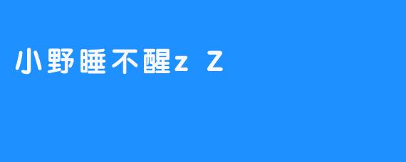 小野睡不醒zZ